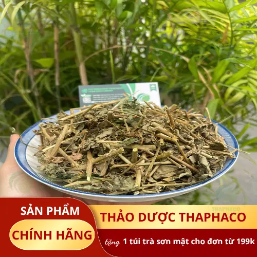 Pha trà cà gai leo khô tiện lợi để uống