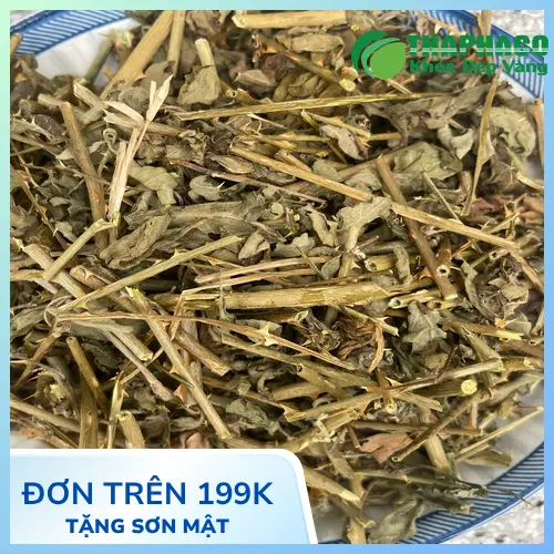 Hình ảnh sản phẩm cà gai leo khô của THAPHACO