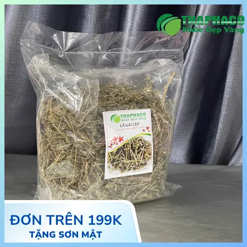 Địa chỉ mua cà gai leo sấy khô uy tín