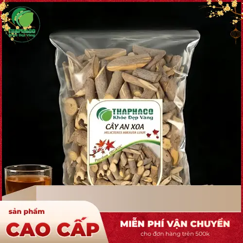Cây An Xoa là gì và đặc điểm nhận dạng