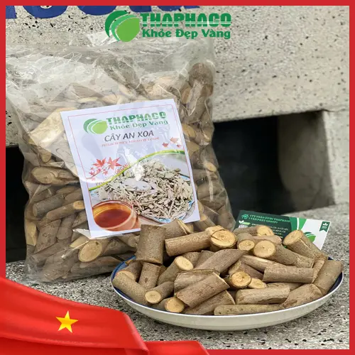Cây An Xoa khô tự nhiên