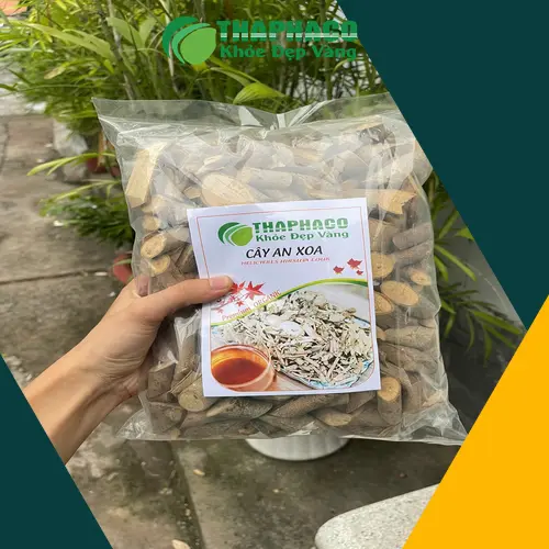 Thân lá cây An Xoa khô đã sơ chế