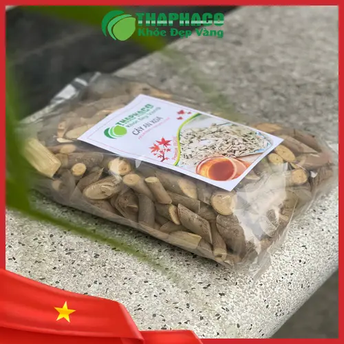 Quy trình sấy khô cây an xoa tại THAPHACO