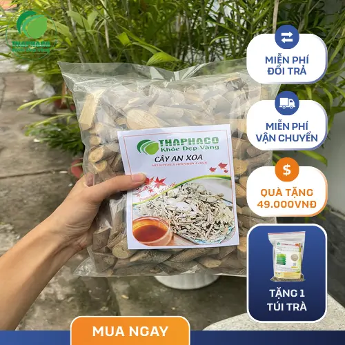 Công dụng hỗ trợ của cây An Xoa sấy khô