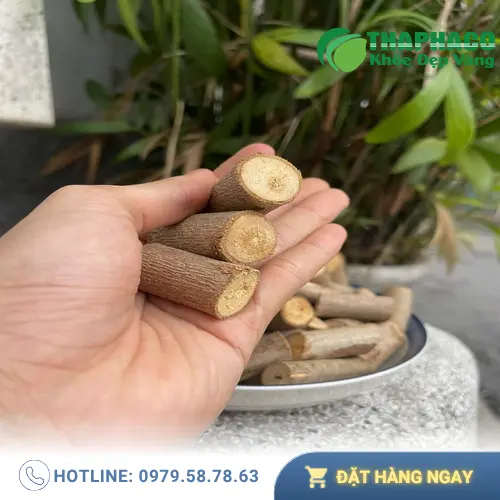 Công dụng hỗ trợ của cây An Xoa