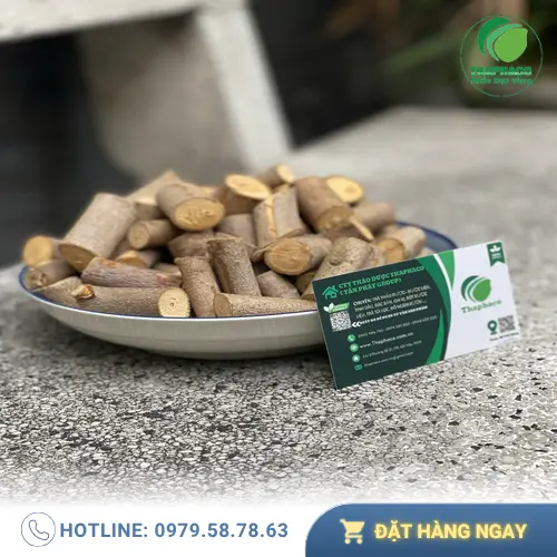 Cách dùng và lưu ý khi sử dụng cây An Xoa