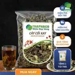 Mua Cây Cối Xay Ở Đâu Uy Tín Tại TP.HCM
