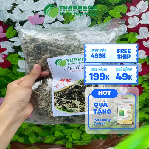 Kiểm tra chất lượng cây cối xay khô