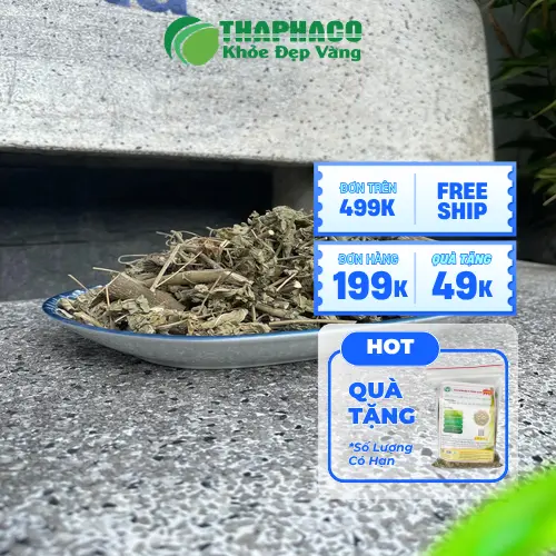 Sản phẩm cây cối xay khô đóng gói tại THAPHACO