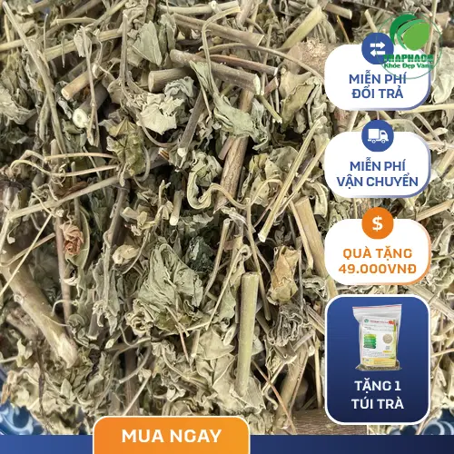 Quả cây Cối Xay hình trụ đặc trưng