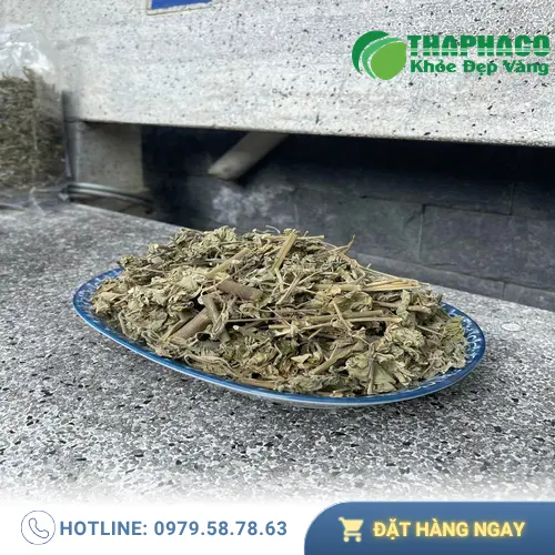 Sản phẩm cây cối xay khô chất lượng tại THAPHACO