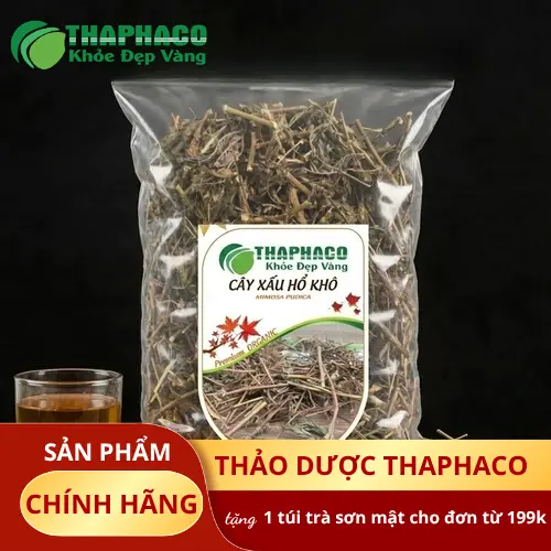 Hình ảnh cây xấu hổ với đặc điểm lá khép