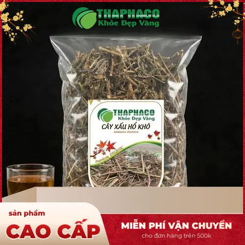 Cây xấu hổ khô và hoa tím đặc trưng