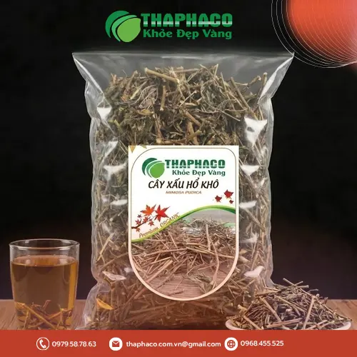Cây xấu hổ, còn gọi là cây trinh nữ, là một loại cây thân thảo quen thuộc.