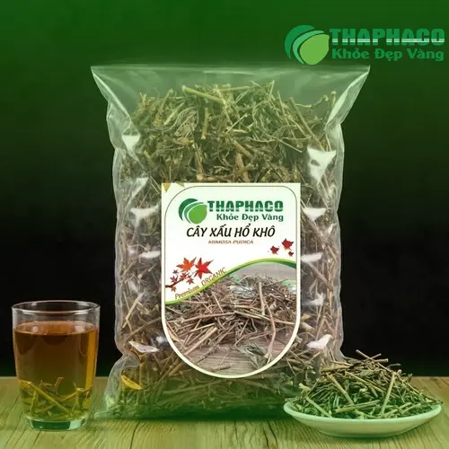 Hình ảnh cây xấu hổ toàn thân, thân, lá và hoa