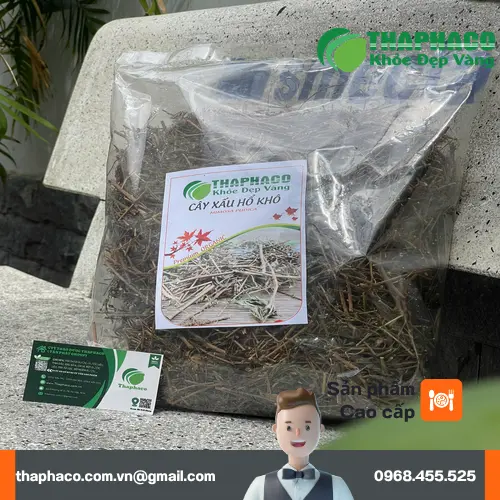 Lá cây xấu hổ tươi