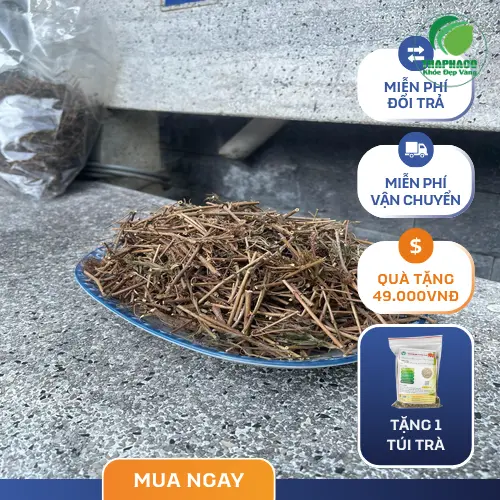 Lá cây xấu hổ chi tiết