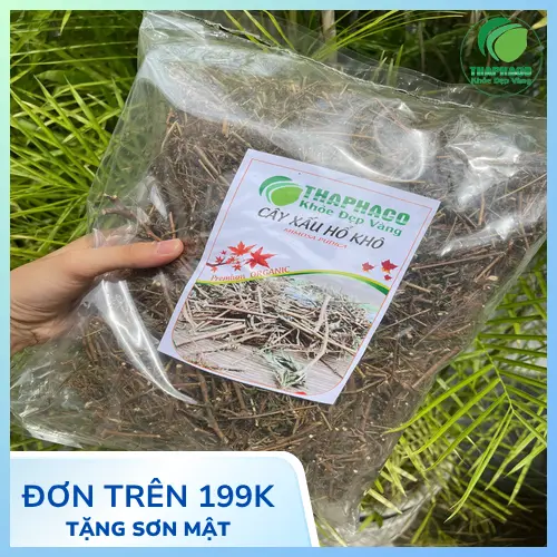 Cây xấu hổ khô đã được sơ chế và đóng gói