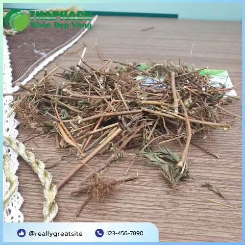 Thân cây xấu hổ có gai nhỏ