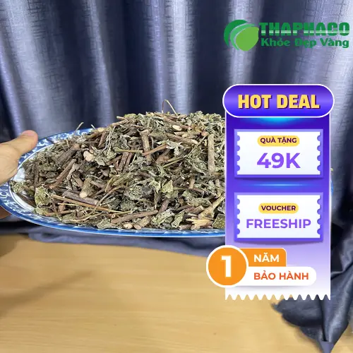 Chè dây khô bị nấm mốc với đốm xanh đen và sợi mốc