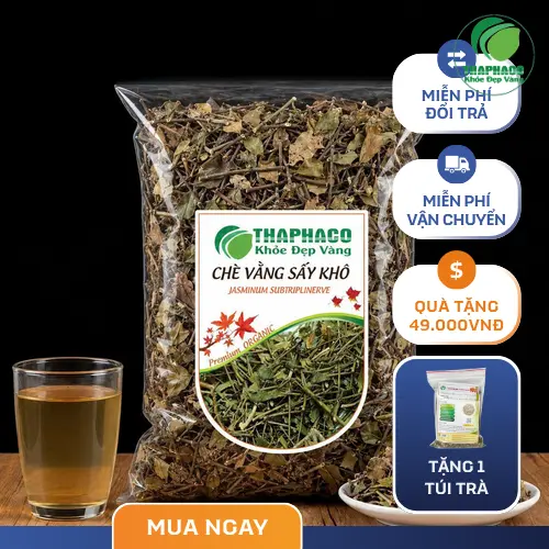Chè vằng khô loại 1 được sơ chế kỹ lưỡng tại THAPHACO