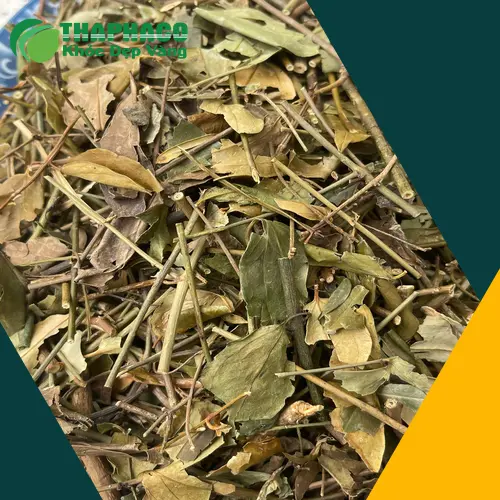 Các hoạt chất có trong chè vằng