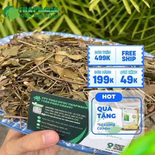 Công dụng hỗ trợ của Chè Vằng khô