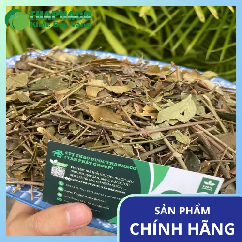 Phụ nữ sau sinh đang uống trà chè vằng để hỗ trợ lợi sữa