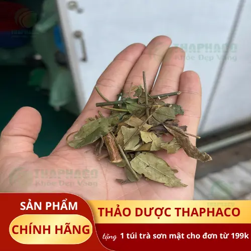 Cách dùng chè vằng khô đúng cách