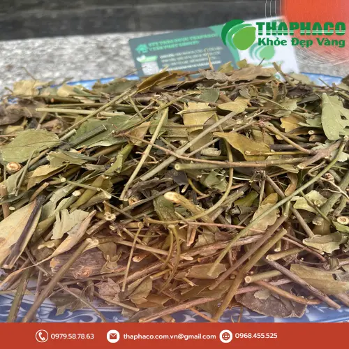 Cách pha và sử dụng chè vằng khô