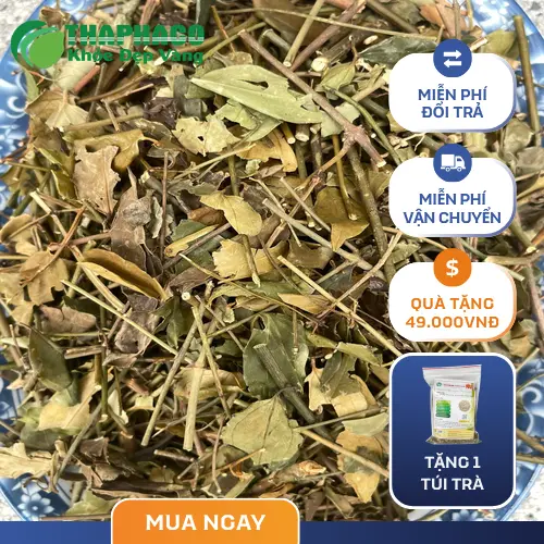 Hướng dẫn pha trà chè vằng đúng cách