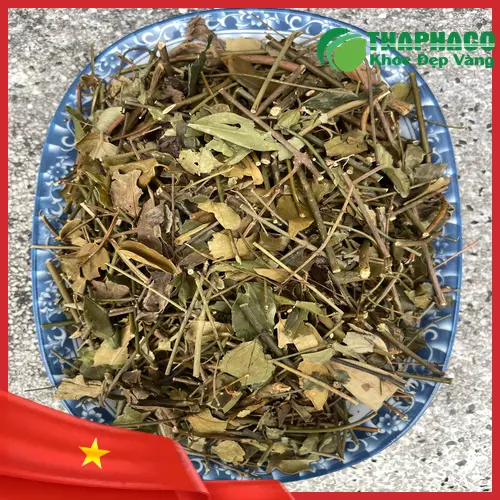 Cách nhận biết chè vằng khô chất lượng