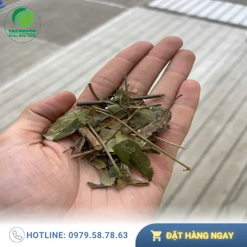 Quy cách đóng gói Chè Vằng khô THAPHACO
