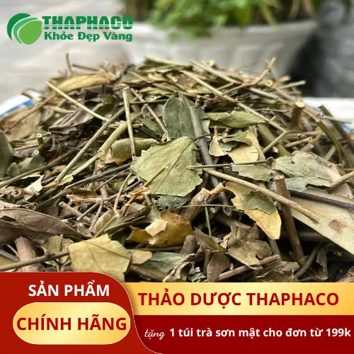 Liên hệ THAPHACO để nhận báo giá sỉ chè vằng khô loại 1
