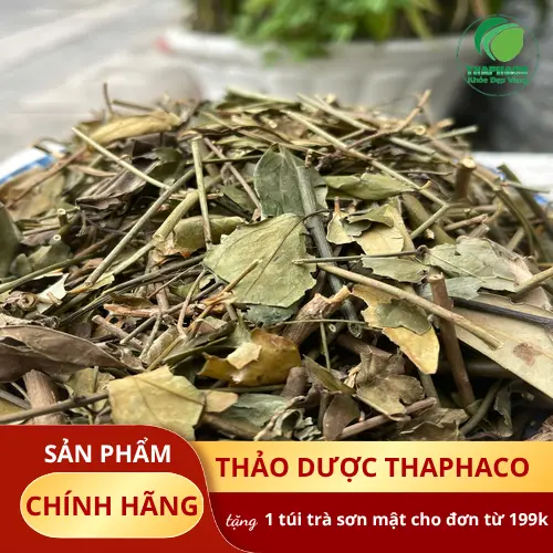 Địa chỉ mua chè vằng sấy khô THAPHACO tại TP.HCM