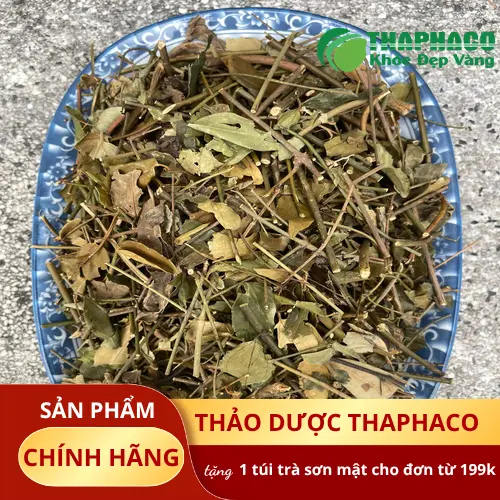 Sản phẩm chè vằng sấy khô của THAPHACO được đóng gói đẹp mắt và chất lượng