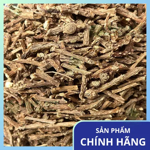 Lá Dây Thần Thông tươi