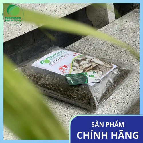 Lưu trữ dây thần thông khô trong hộp kín ở nơi thoáng mát