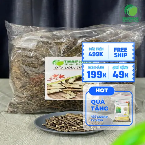 Phân biệt dây thần thông tươi và các loại cây khác