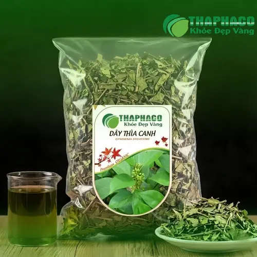 Dây Thìa Canh tươi