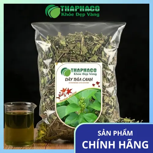 Hình ảnh Dây Thìa Canh tươi