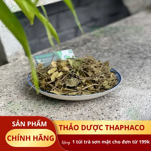 Lá Dây Thìa Canh khô được sử dụng làm dược liệu