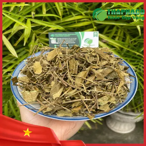 Công dụng hỗ trợ sức khỏe của dây thìa canh sấy khô THAPHACO