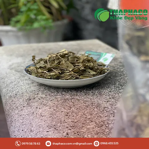 Công dụng hỗ trợ của Dây Thìa Canh đối với đường huyết