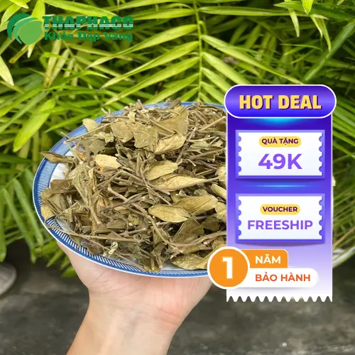 Quy trình sấy khô dây thìa canh THAPHACO hiện đại