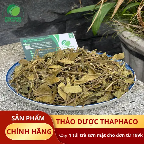 Dây thìa canh và đối tượng sử dụng đặc biệt