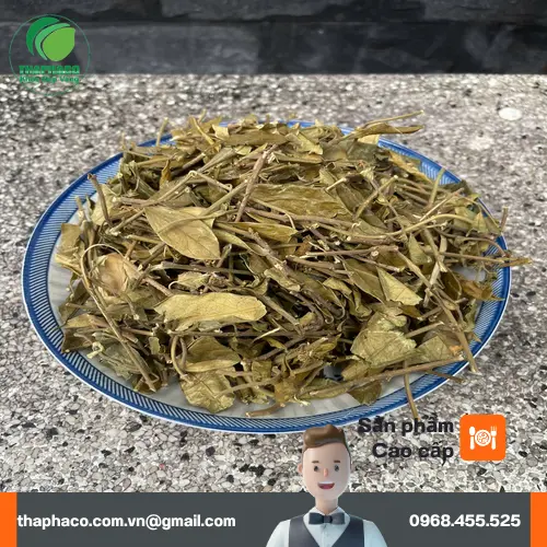 Cách pha trà Dây Thìa Canh Sấy Khô