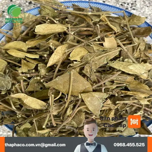 Hướng dẫn cách dùng Dây Thìa Canh an toàn và hiệu quả