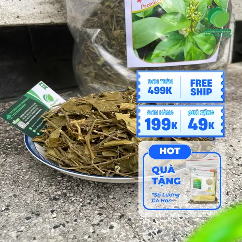 Sản phẩm Dây Thìa Canh sấy khô từ THAPHACO
