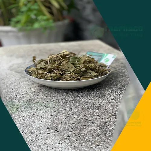 Mua dây thìa canh giá rẻ tại THAPHACO TP.HCM
